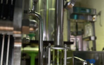 ¿Qué es el AOVE de primera extracción en frío y por qué es tan valorado?